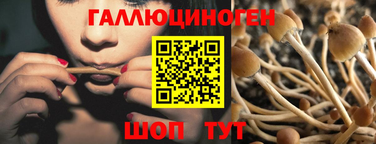Псилоцибиновые грибы MAGIC MUSHROOMS  Псилоцибиновые грибы ЛСД  Заволжье  Вход с VPN 